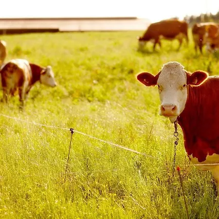 Birkenwind Casa de Férias